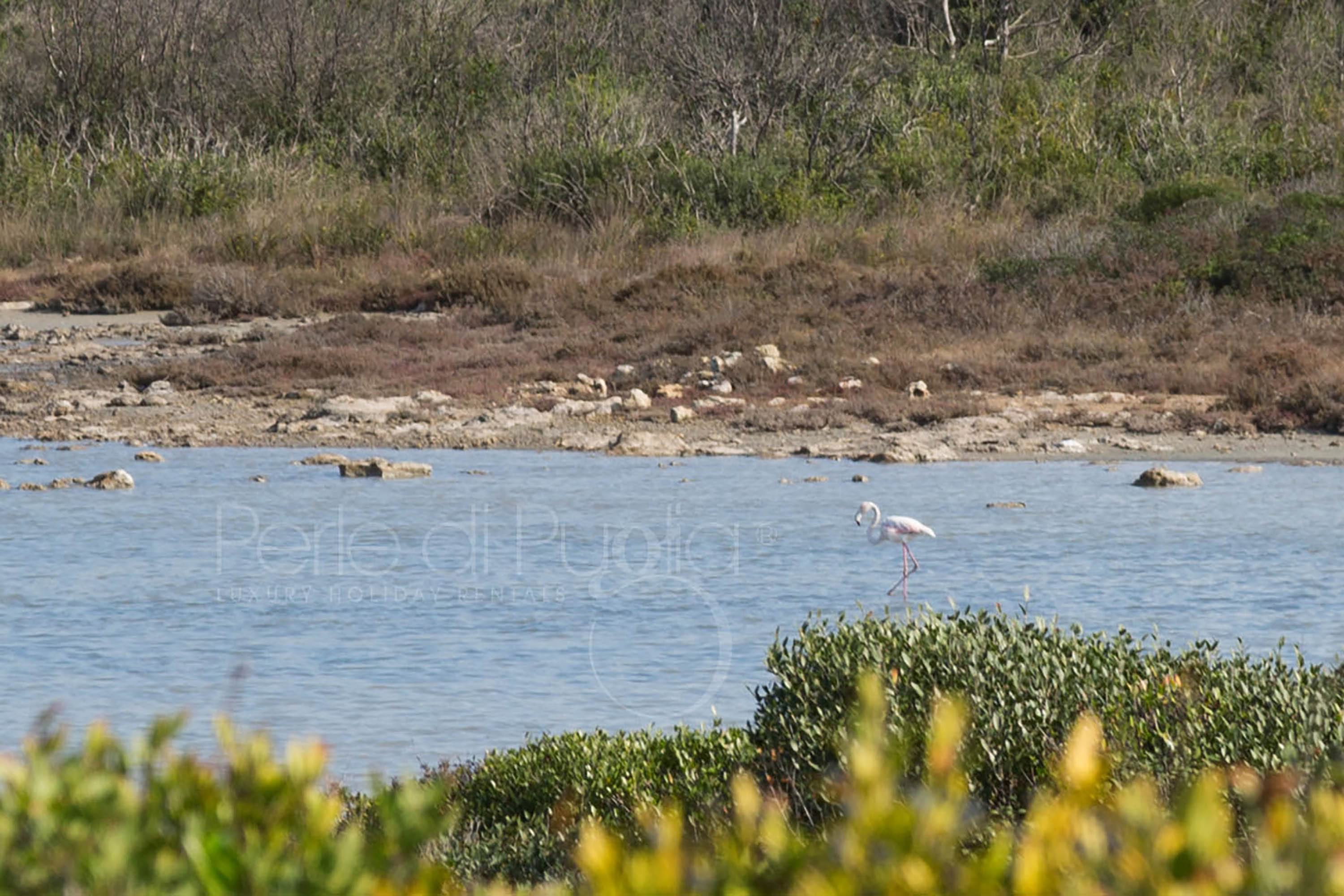 Speciale Vacanze Salento Le 10 Lunghe Spiagge Più Belle