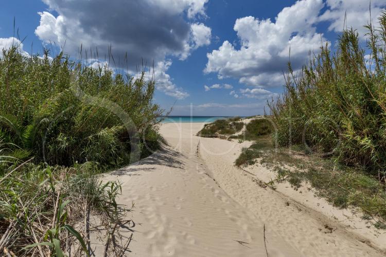 Villa Con Giardino A 250 Mt Dalla Spiaggia Di Torre Lapillo